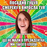 Посадив гуцул смереку А виросла туя Ще не мали в президентах Ми такого хлопа