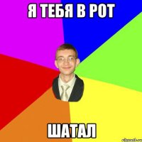 Я тебя в рот шатал