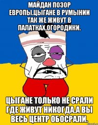 Майдан позор европы.цыгане в румынии так же живут в палатках.огородики. Цыгане только не срали где живут никогда.а вы весь центр обосрали.