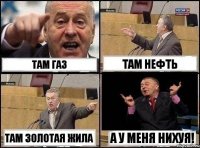 Там газ Там нефть Там золотая жила А у меня нихуя!