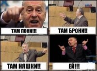 там пони!!! там брони!! там няшки!! ЕЙ!!!