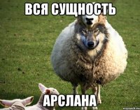 Вся сущность Арслана