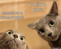 Всмысле в Комаровке? То есть как?