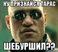 ну признайся Тарас шебуршил??