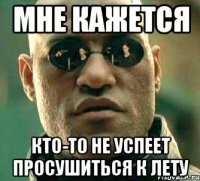 Мне кажется кто-то не успеет просушиться к лету