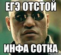 Егэ отстой Инфа сотка