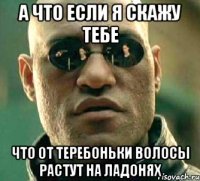 А что если я скажу тебе что от теребоньки волосы растут на ладонях