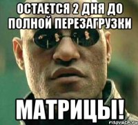 Остается 2 дня до полной перезагрузки Матрицы!