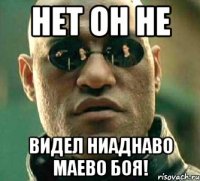 нет он не видел ниаднаво маево боя!