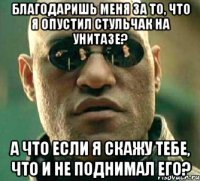 Благодаришь меня за то, что я опустил стульчак на унитазе? А что если я скажу тебе, что и не поднимал его?