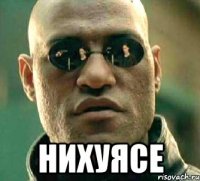  НИХУЯСЕ