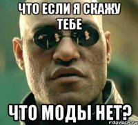 что если я скажу тебе что моды нет?