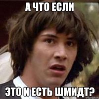 А что если это и есть Шмидт?