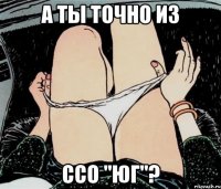 А ты точно из ССО "Юг"?