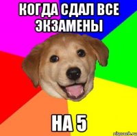 Когда сдал все экзамены на 5