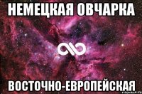 Немецкая овчарка восточно-европейская