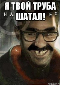 Я Твой труба шатал! 