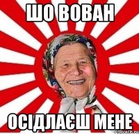 ШО ВОВАН ОСІДЛАЄШ МЕНЕ