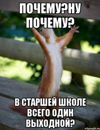 Почему?Ну почему? В старшей школе всего один выходной?