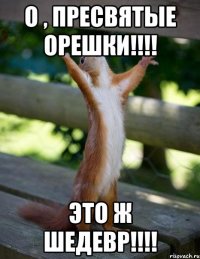 О , пресвятые орешки!!!! Это ж ШЕДЕВР!!!!