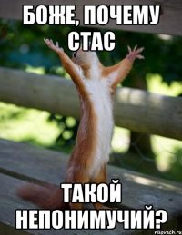 боже, почему Стас такой непонимучий?