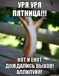 уря уря пятница!!! кот и енот дождались выхов! Аллилуйя!