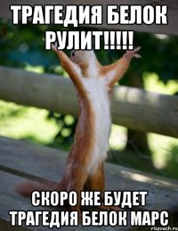 трагедия белок рулит!!!!! скоро же будет трагедия белок Марс