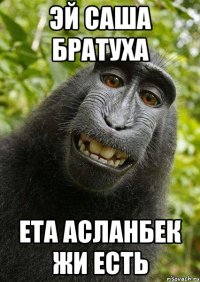 Эй Саша братуха Ета Асланбек жи есть