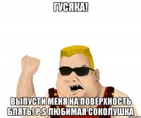 Гусяка! Выпусти меня на поверхность блять! P.S Любимая соколушка