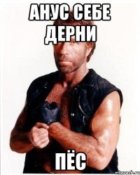 анус себе дерни пёс