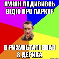 Лукян подививсь відіо про паркур в ризультаті впав з дерива