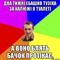 Два тижні ебашив тузіка за калюжі в туалеті а воно блять бачок протікає.