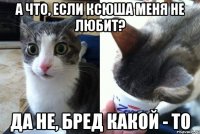 А что, если Ксюша меня не любит? Да не, бред какой - то