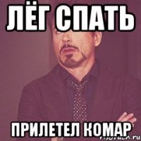 лёг спать прилетел комар