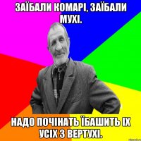 Заїбали комарі, заїбали мухі. Надо почінать їбашить іх усіх з вертухі.