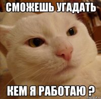 сможешь угадать кем я работаю ?