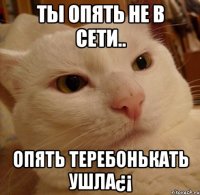 Ты опять не в сети.. Опять теребонькать ушла¿¡