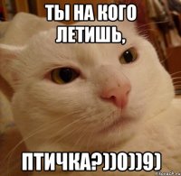 Ты на кого летишь, птичка?))0))9)