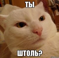 ты штоль?