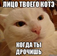 Лицо твоего котэ когда ты дрочишь