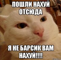 Пошли нахуй отсюда я не барсик вам нахуй!!!!