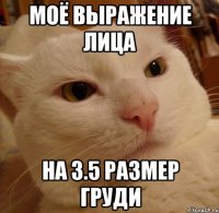 Моё выражение лица на 3.5 размер груди