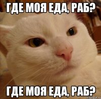 Где моя еда, раб? Где моя еда, раб?