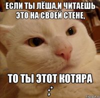 Если ты Лёша,и читаешь это на своей стене, то ты этот котяра ;*