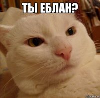 ты еблан? 