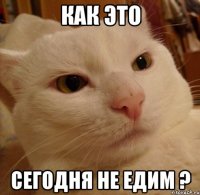 КАК ЭТО СЕГОДНЯ НЕ ЕДИМ ?