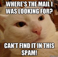 Where's the mail I was looking for? Can't find it in this spam!