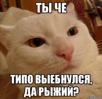 Ты че типо выебнулся, да рыжий?