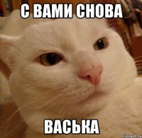 с вами снова Васька