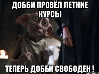 Добби провёл летние курсы Теперь Добби свободен !